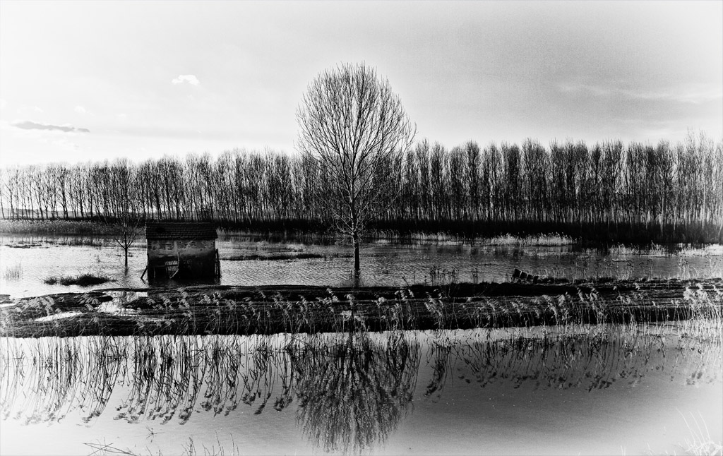 Prima donna.........