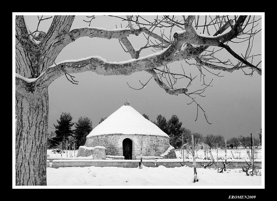 ...DA UN POPOLO DI FORMICHE...