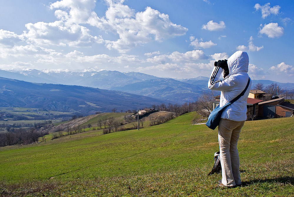 osservando i monti