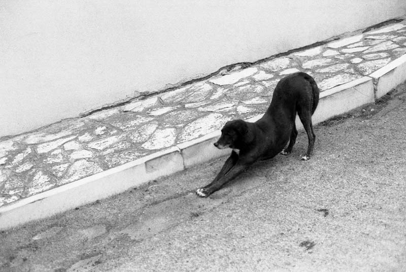 pronti...partenza....