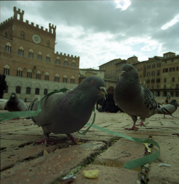piazza del campo