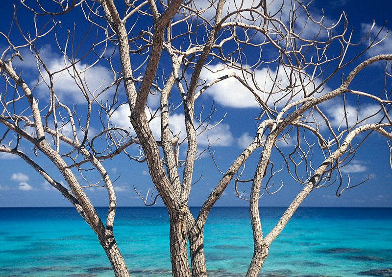 il fantasma della libert�