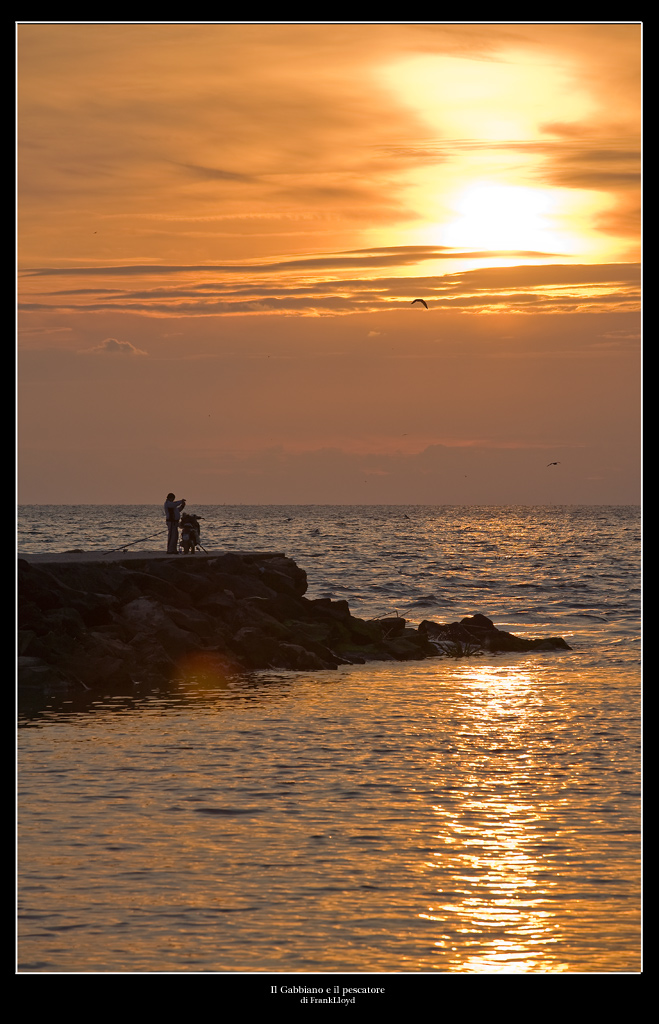 Il gabbiano e il pescatore