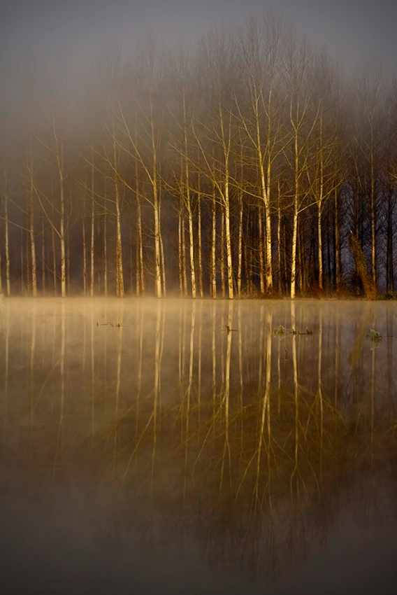 Ancora alba e nebbia...