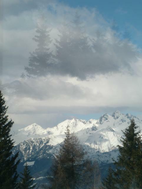 La foresta incantata