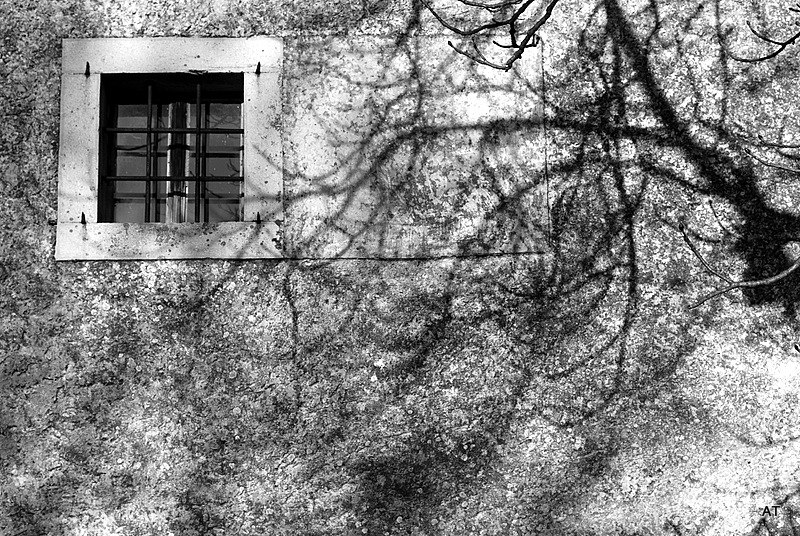 ...dopo venne l'inverno