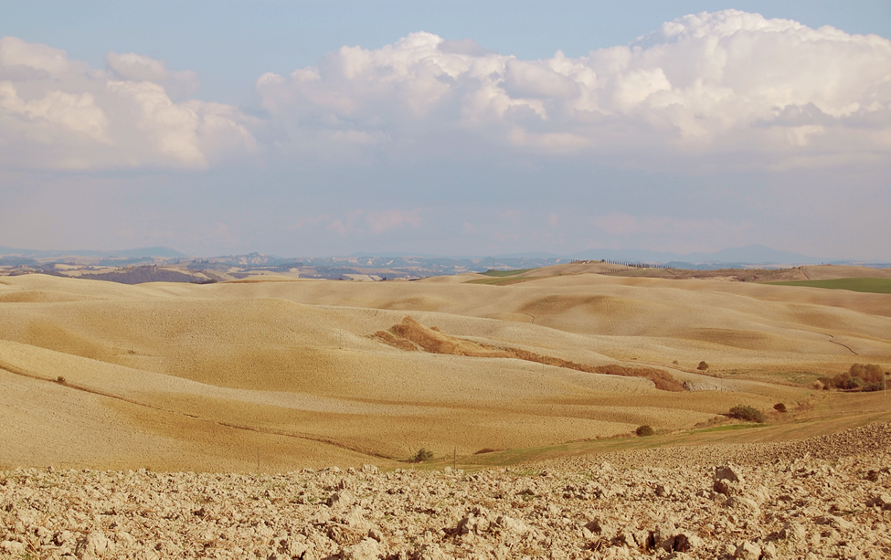 Crete Senesi