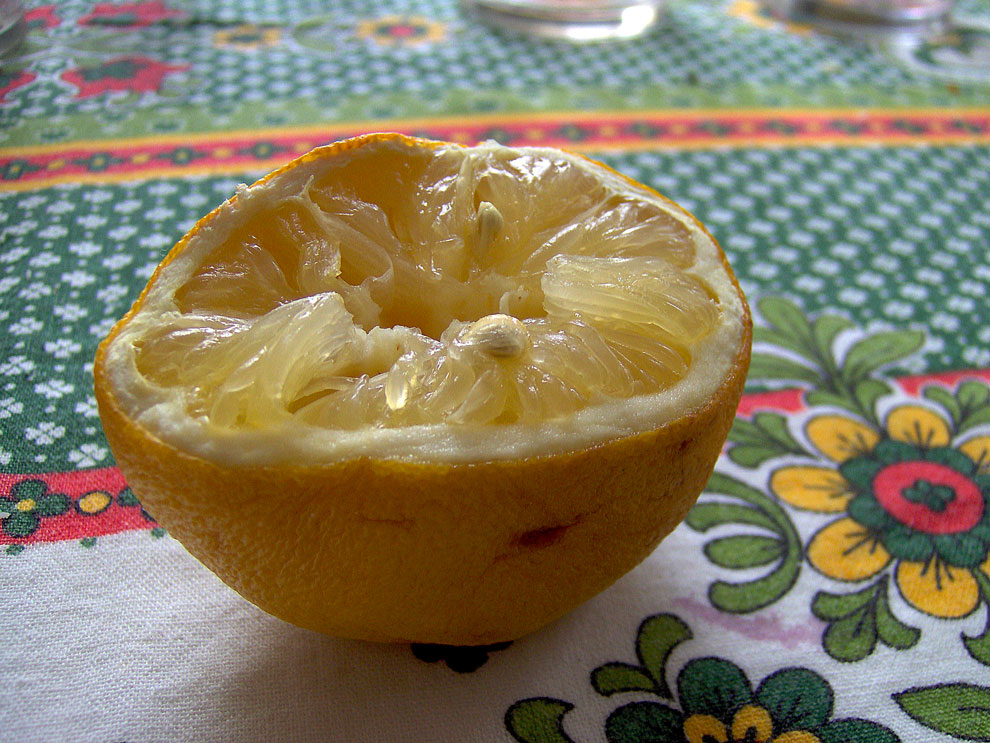 17 281209  LIMONE .......spremuto