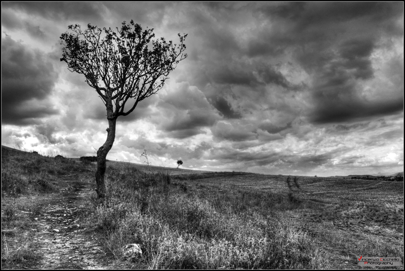 Tristezze d' Inverno