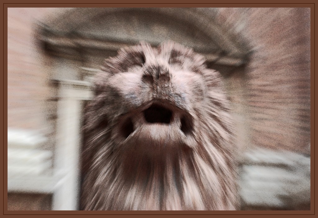 La rabbia che esplode.