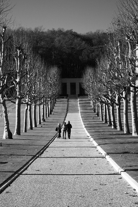 Nel mezzo del cammin...