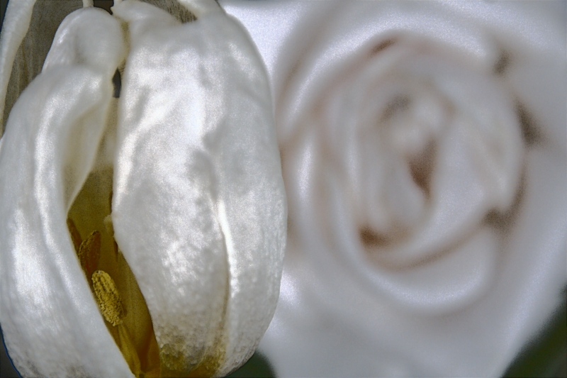 Piani Non Intersecanti