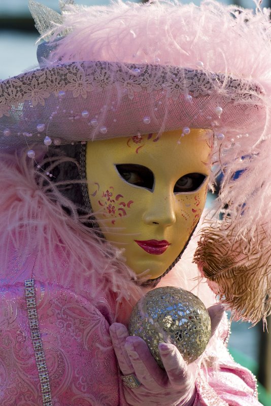 il carnevale...di Venezia