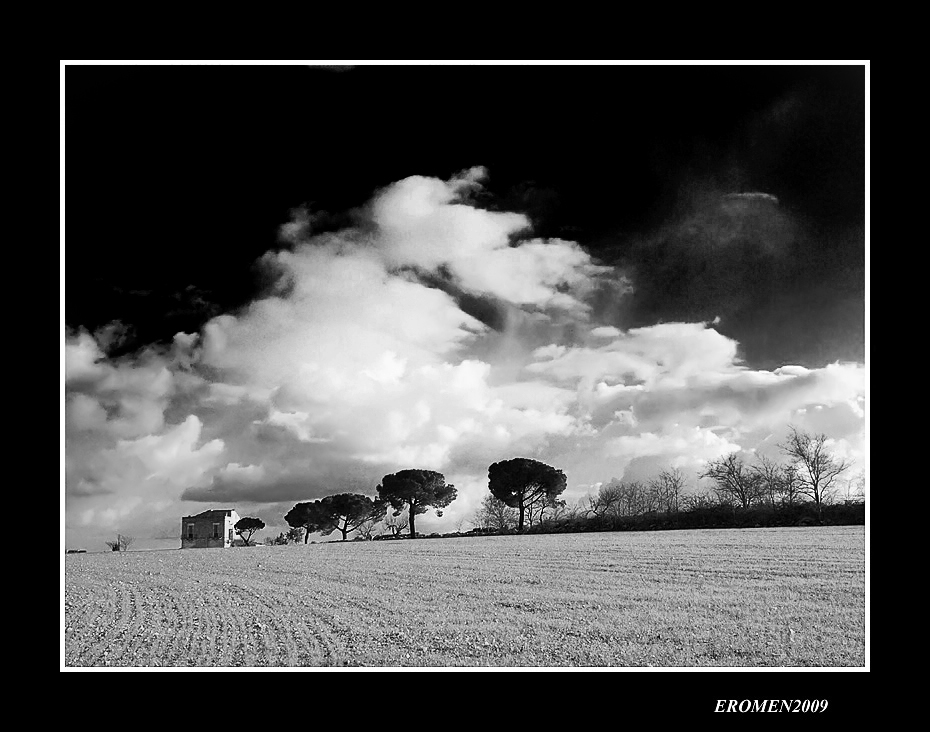 ...LUCE SUI CAMPI...