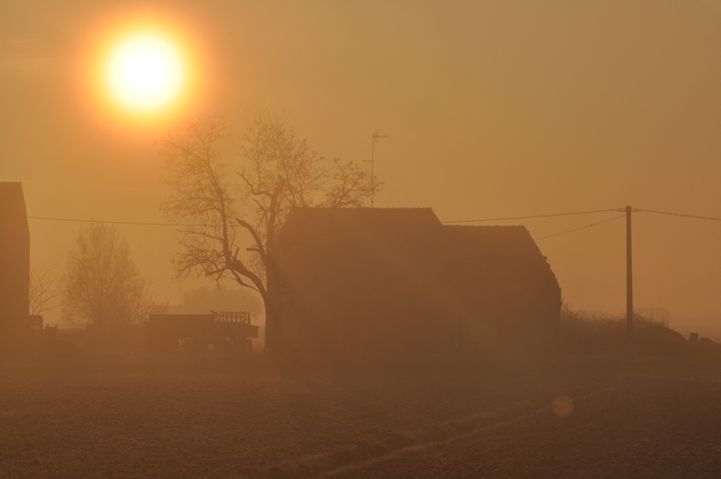 Alba nella nebbia