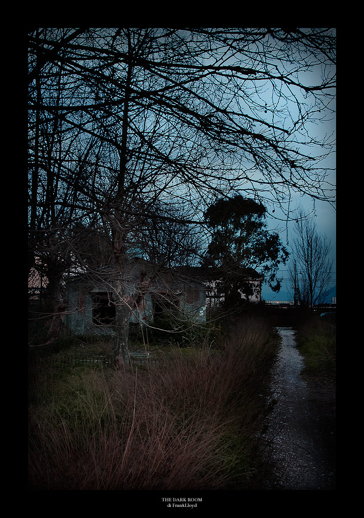 The Dark Room