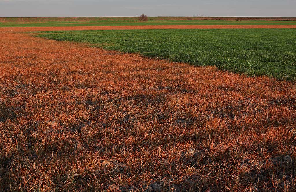 campagna del delta del po