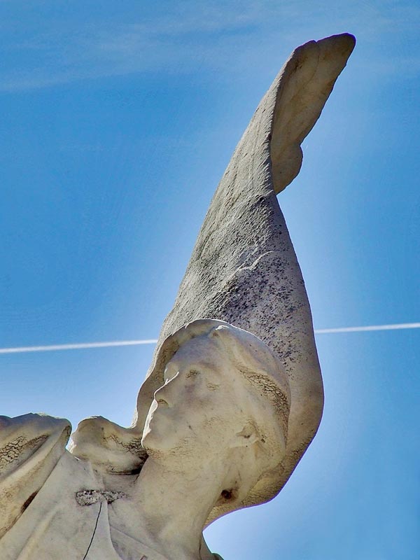 precauccion de la innovacion