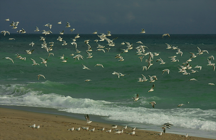 ...VOLO NELLA LUCE...