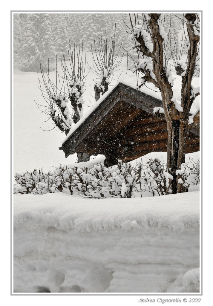 Rifugio nella tormenta