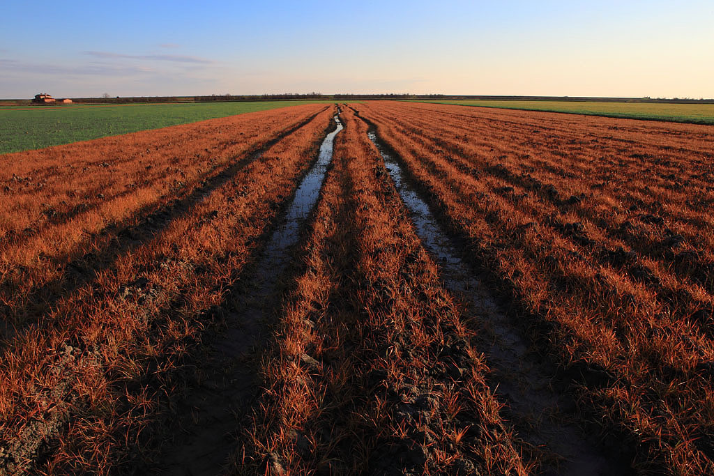 campagna del delta del po