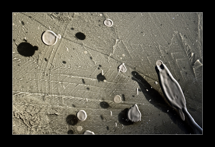 The game of the shades