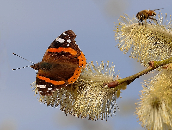 ti sto osservando.....