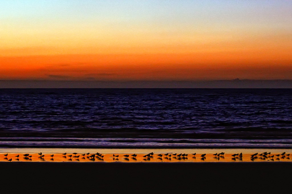 Sulla spiaggia per vedere il tramonto