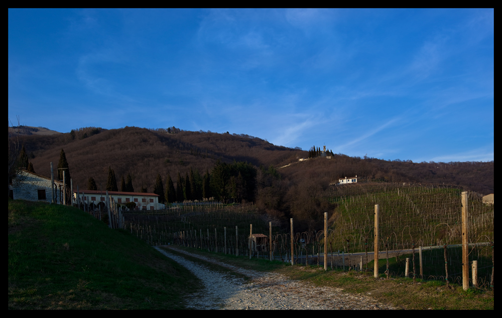 Terra de prosecco ...  ancora spoglia ...