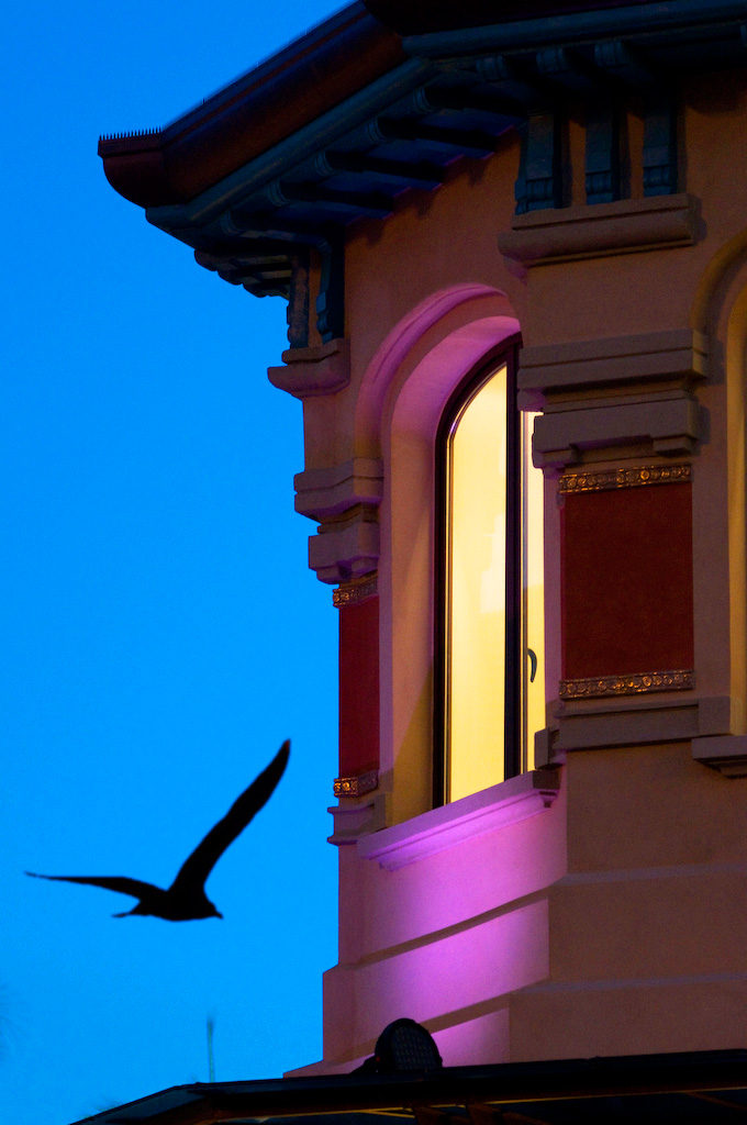 La finestra sul cortile