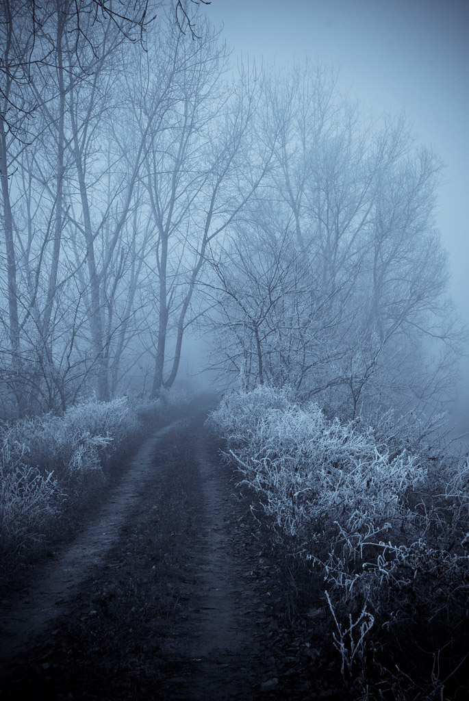 Tra sogno e realt�