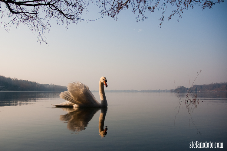 L'incantesimo del lago...
