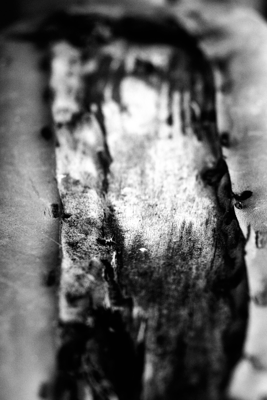 Particolari di discarica