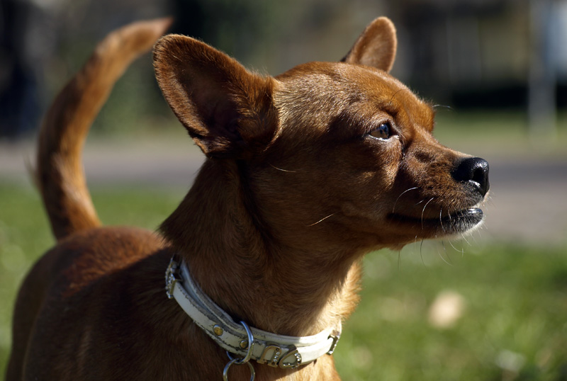 uno dei miei due mostriciattoli!
