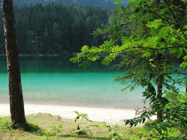 Tonalit� di verde - Lago di Tovel - Trentino