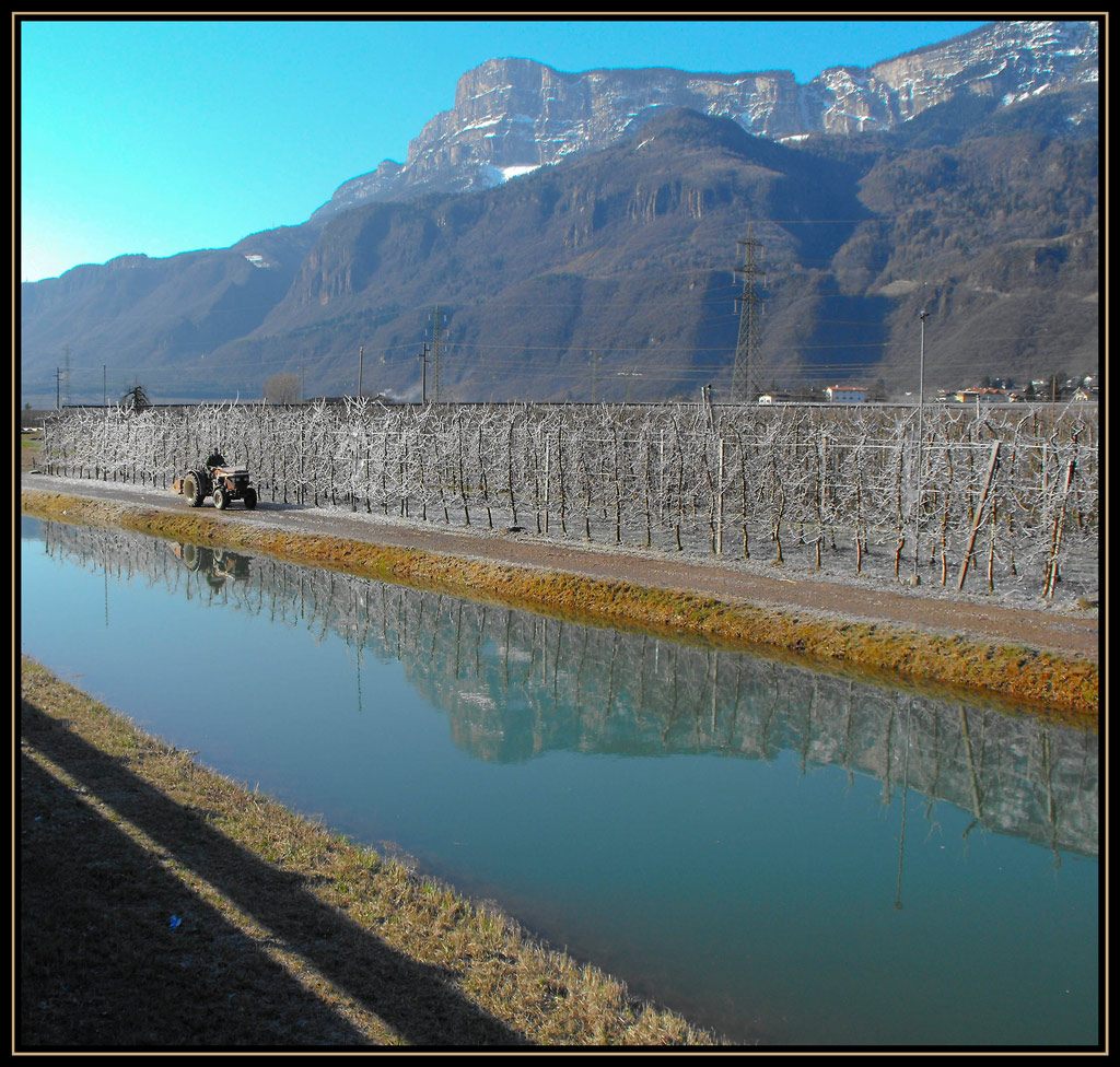 meleto surgelato riflesso nel canale...