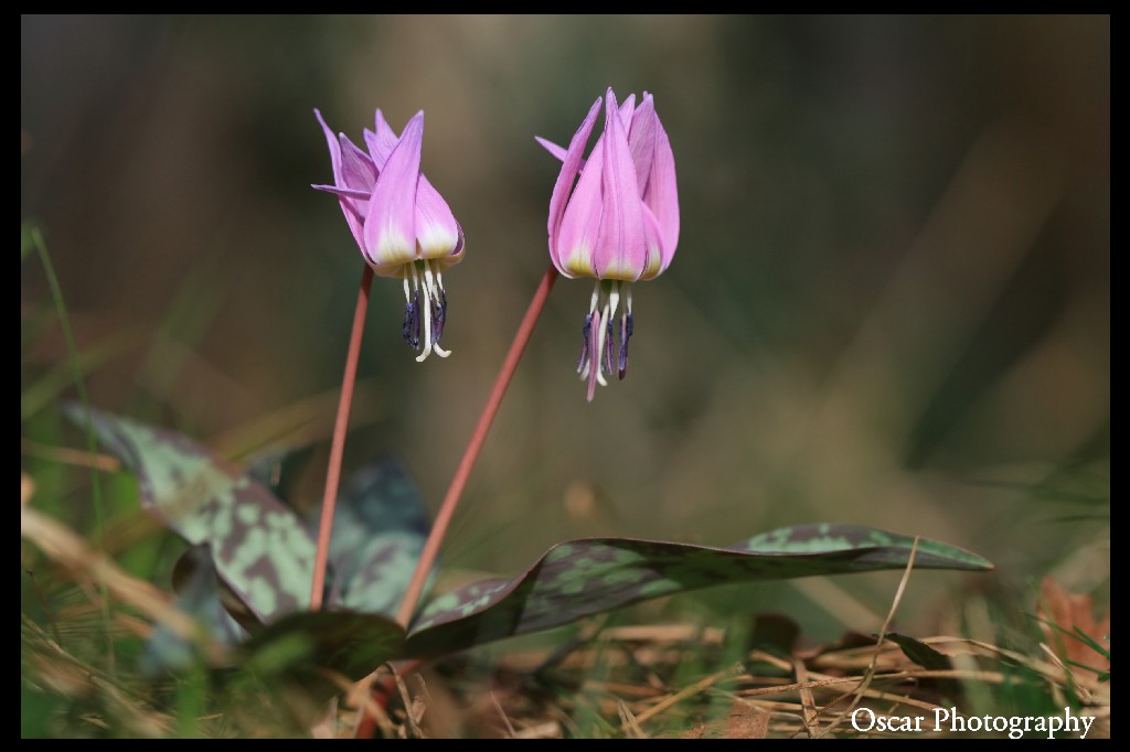 vicini di stagione...