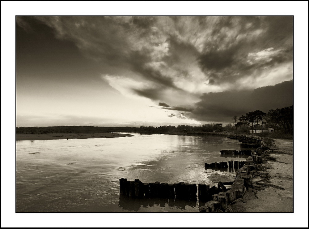 Luci e ombre sulla foce