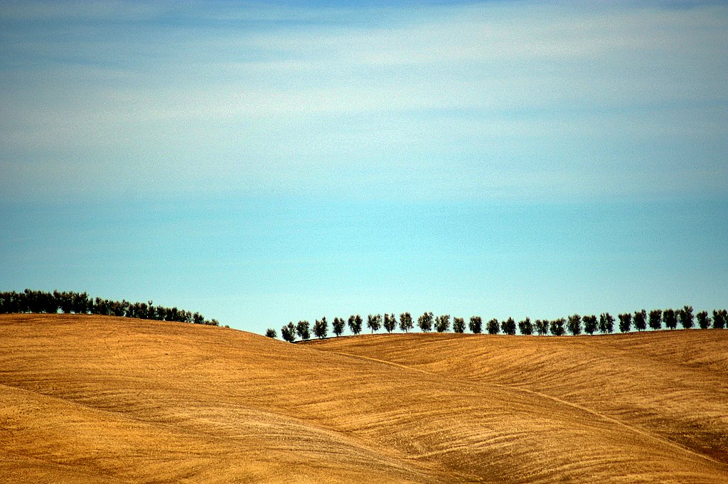 val d' orcia
