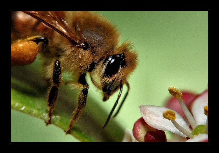 Mi avvicino con cautela