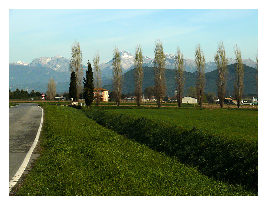 Campagne pisane (Arena Metato)