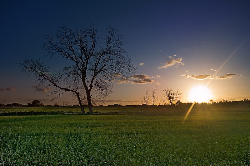 tramonto in pianura