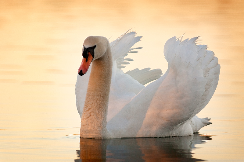 ai primi raggi di sole