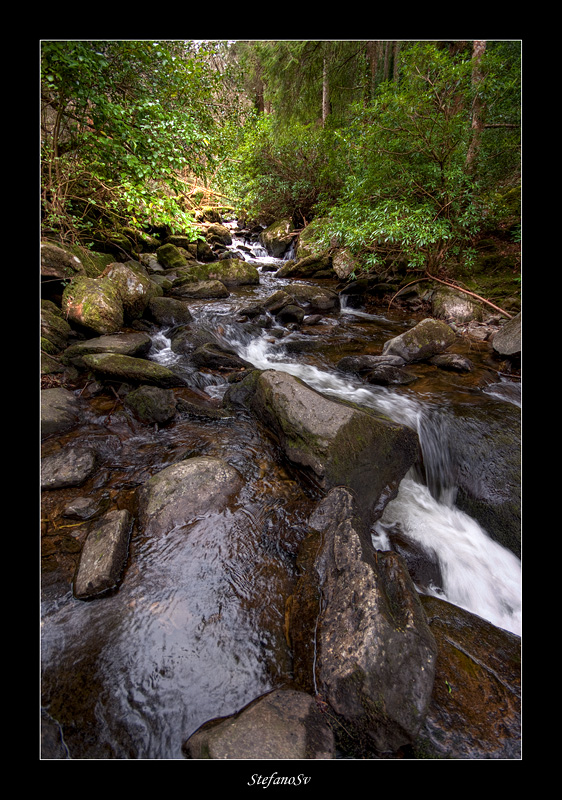 Killarney National Park