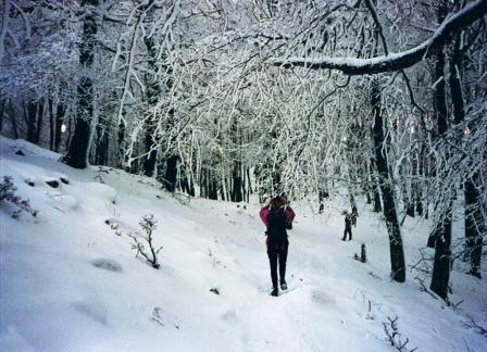 giardino di ghiaccio
