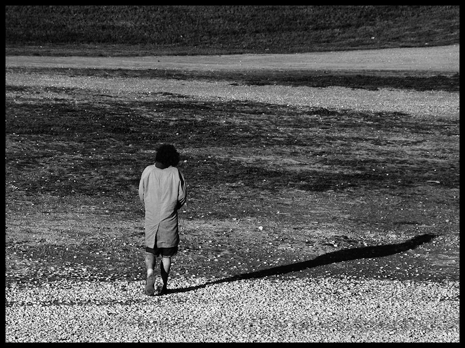 vagabondo....................