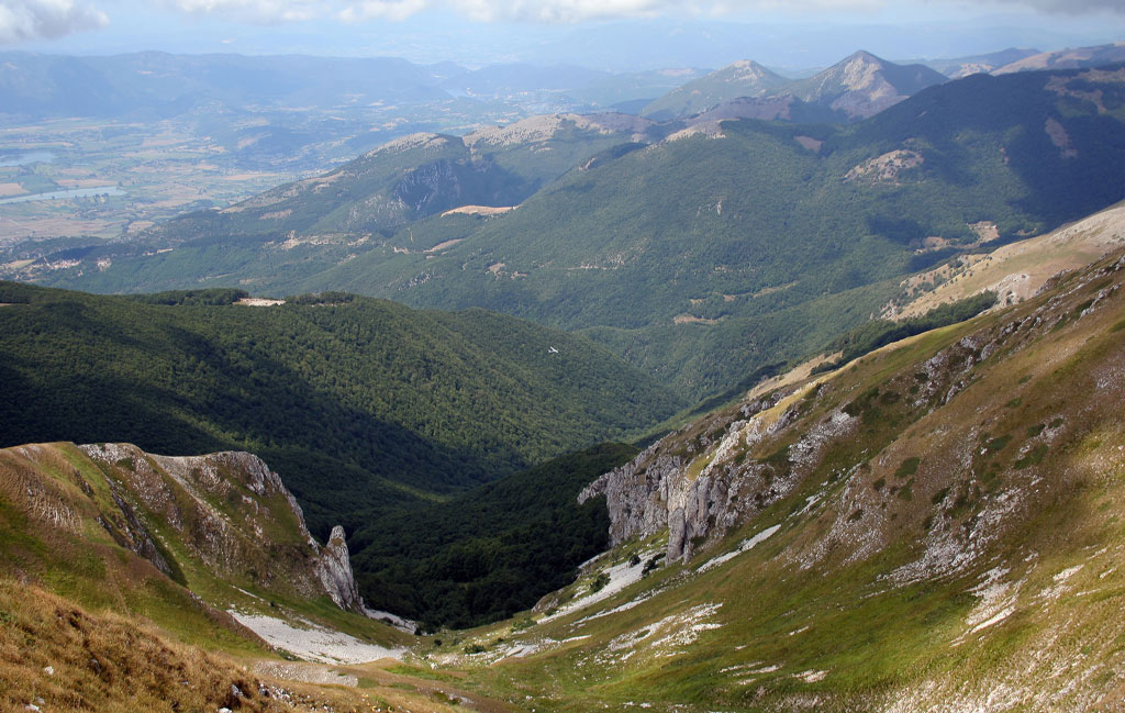 Piccolo....ma c�!!!