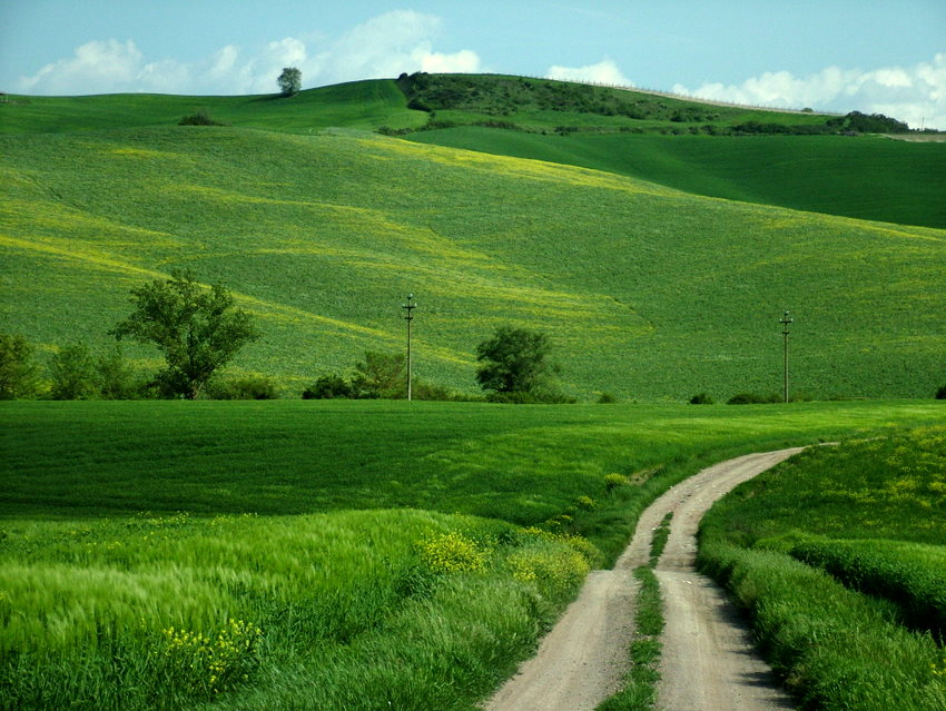 Non aver paura della perfezione, non la raggiungerai mai! (S.Dal�)