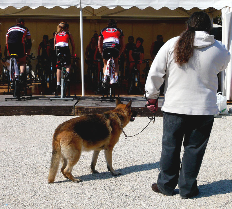 la soluzione..a portata di mano