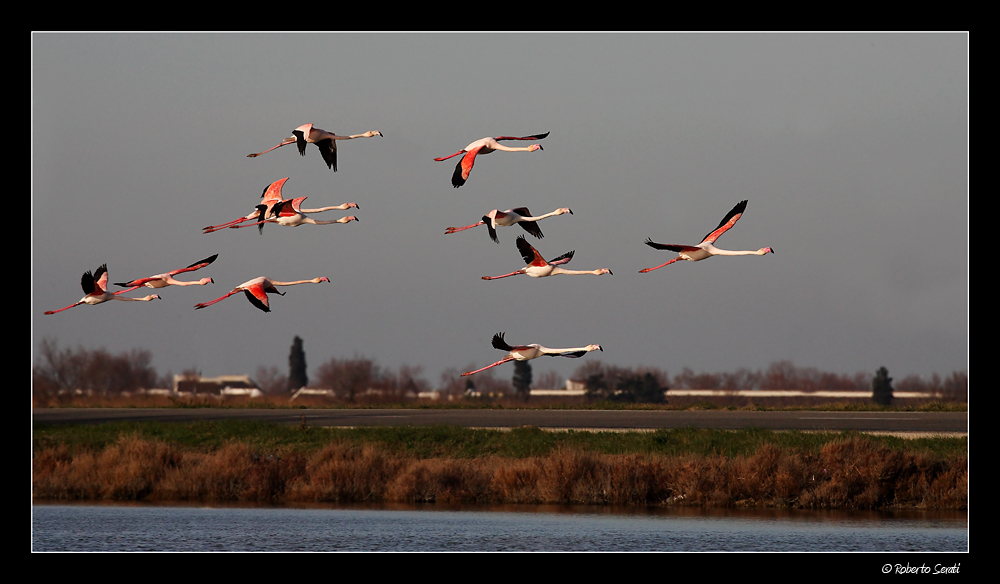 In volo sulla strada